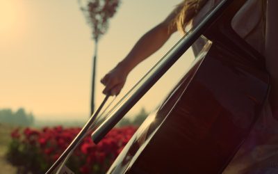 Top Tips for Choosing a Cello Teacher